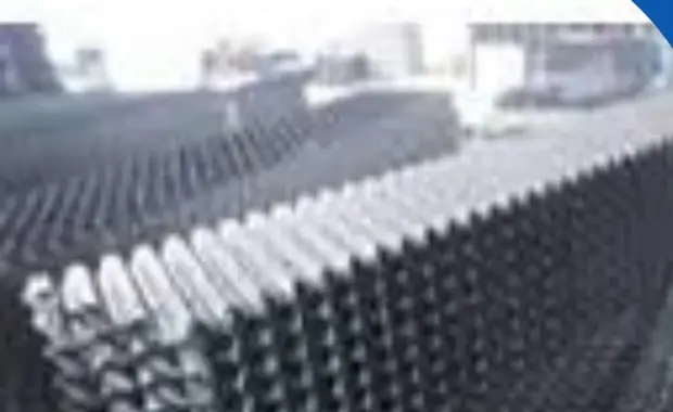 Sarang Tawon IPAL Apakah Aman